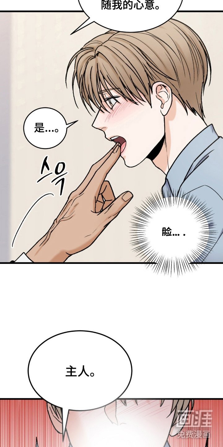 第14章：小兔子