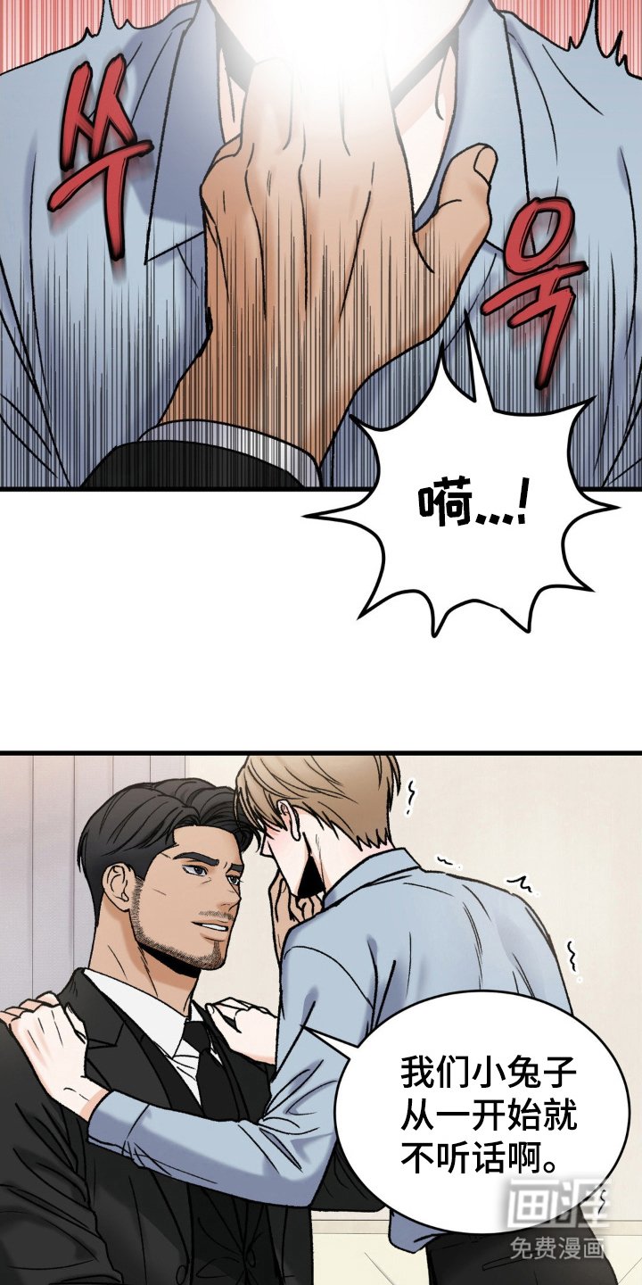 第14章：小兔子