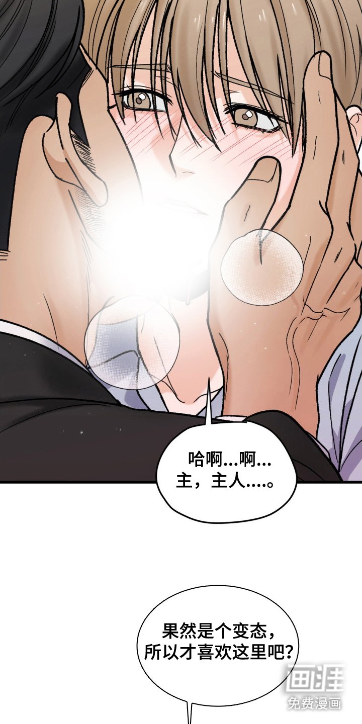 第15章：希望是你