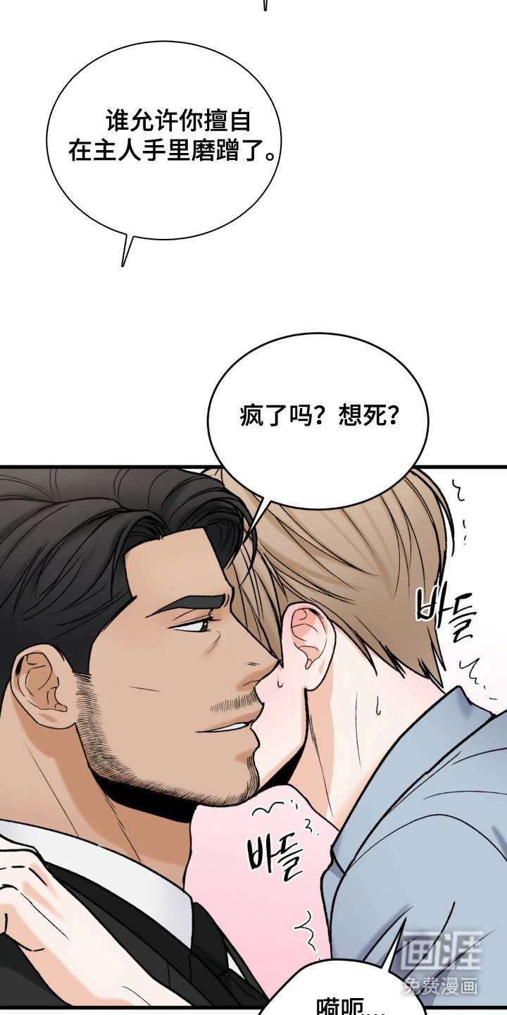 第15章：希望是你