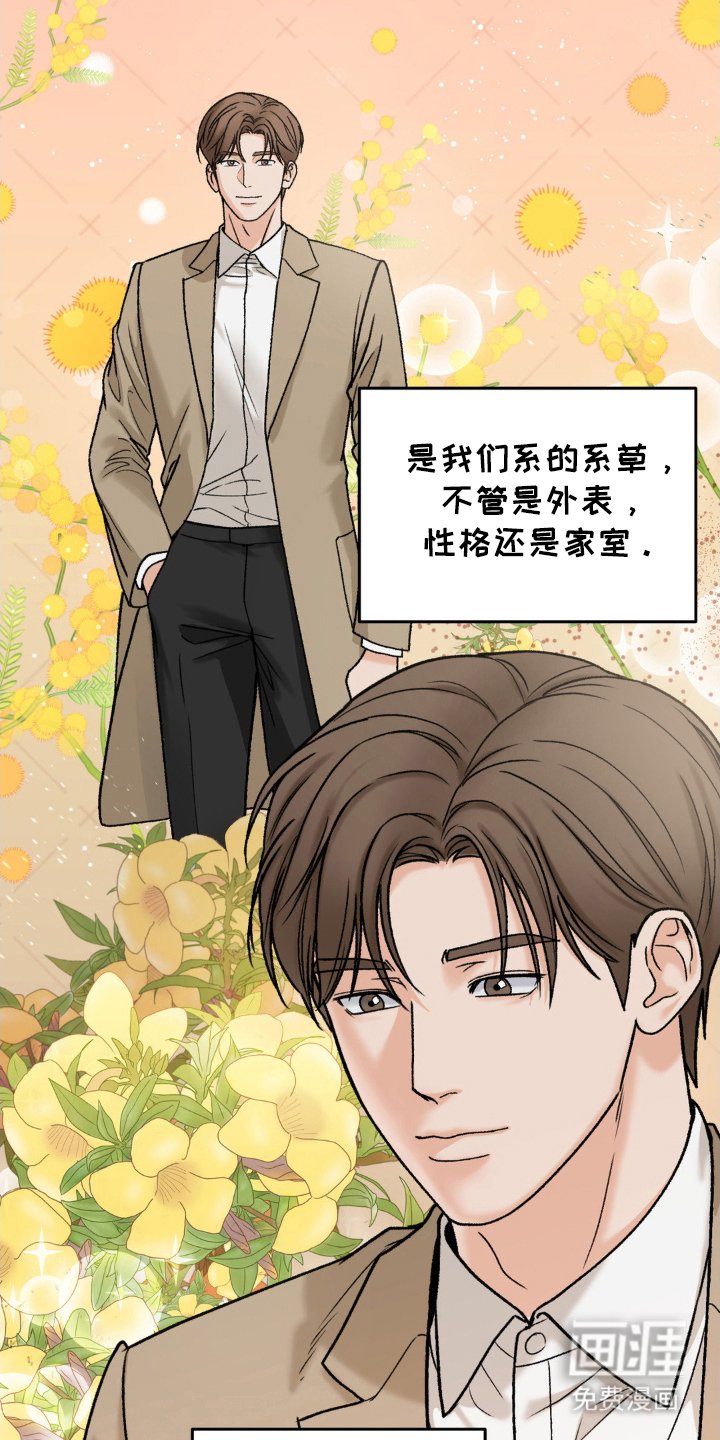 第7章：唯一的缺点
