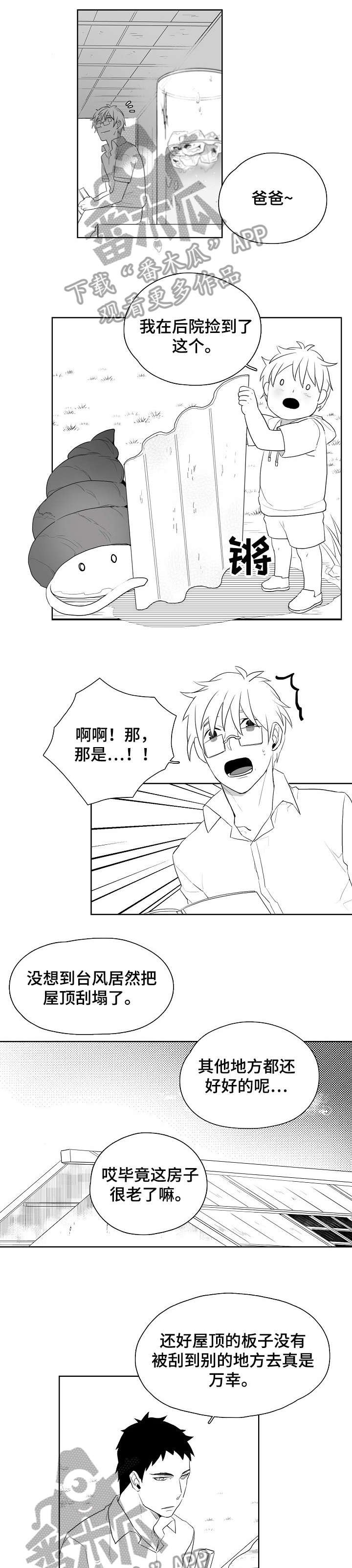 第11章：屋顶