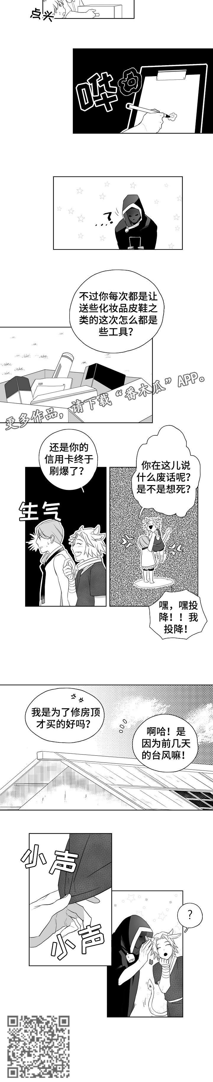 第11章：屋顶