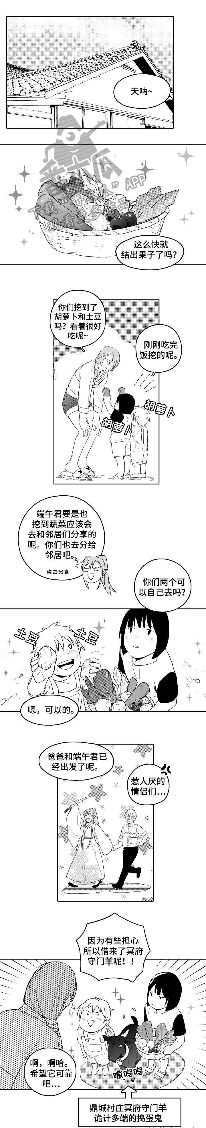 第18章：鸟