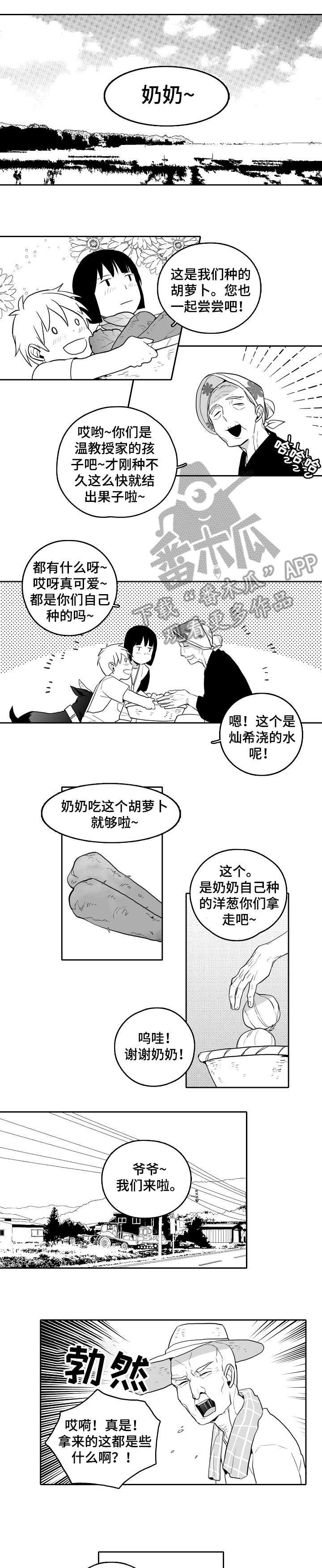 第18章：鸟