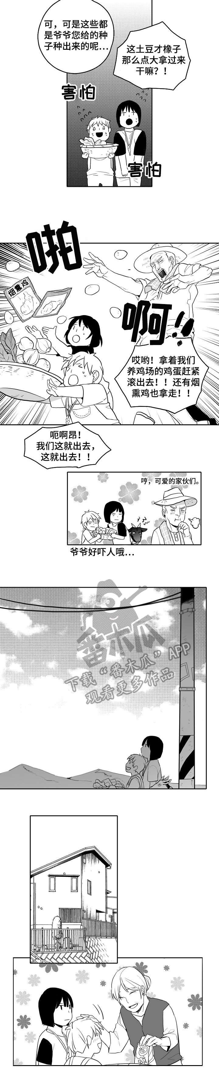 第18章：鸟