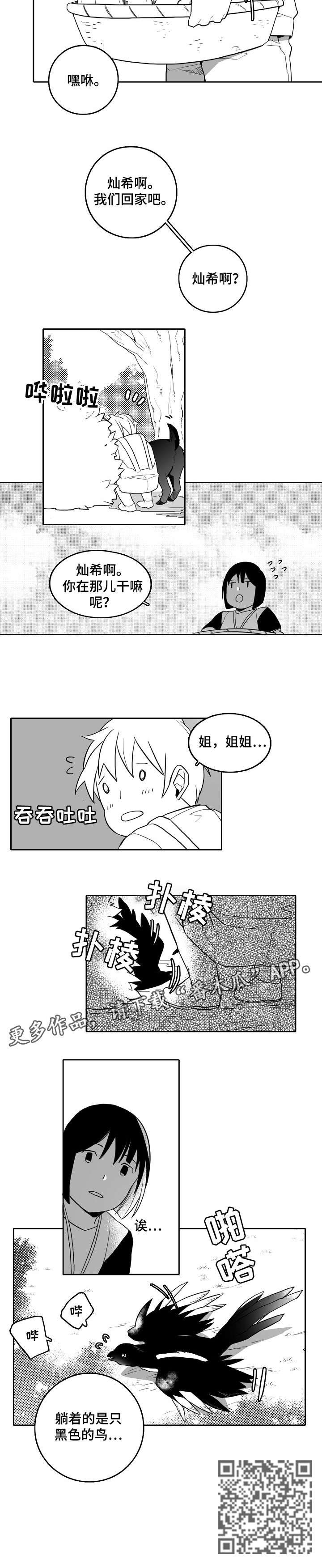 第18章：鸟