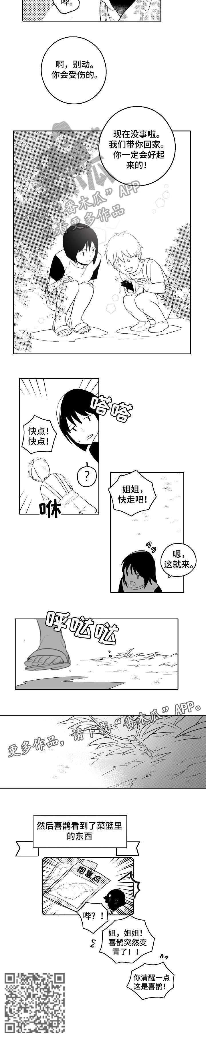 第19章：受伤