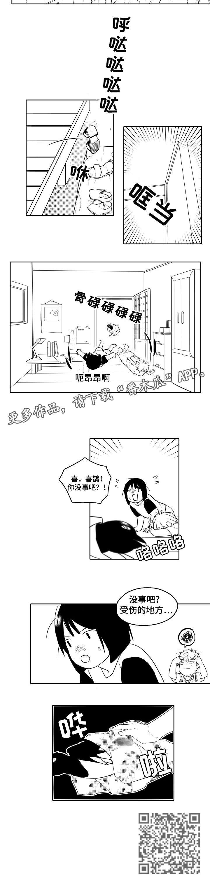 第19章：受伤