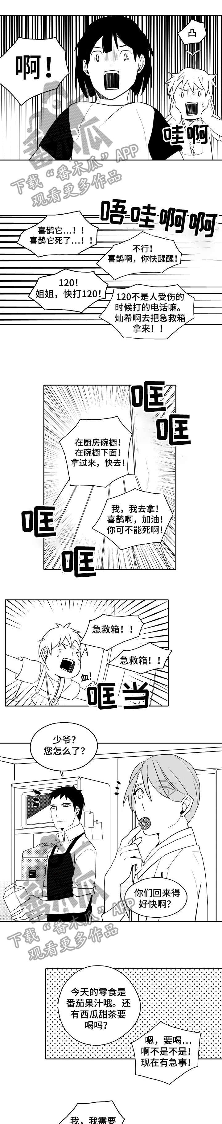 第20章：一起生活