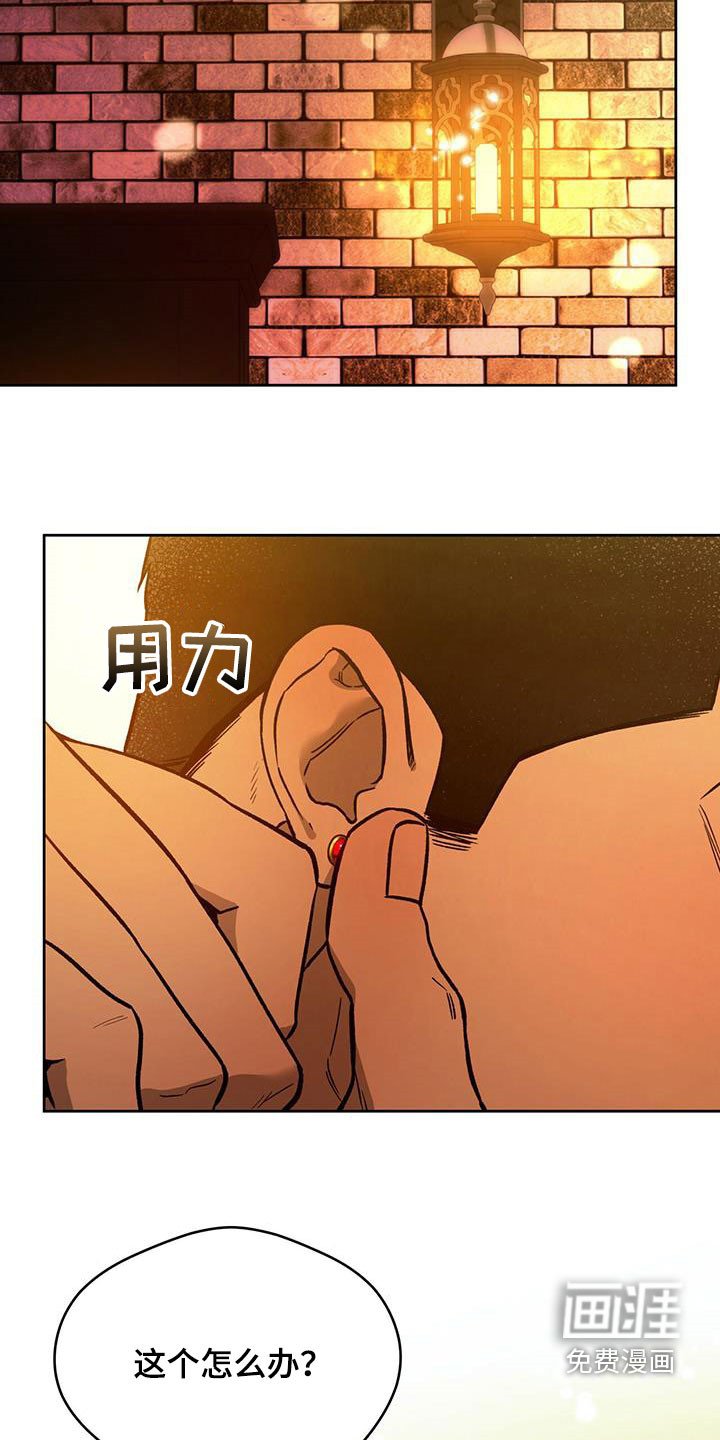 第103章：【第二季】骗子