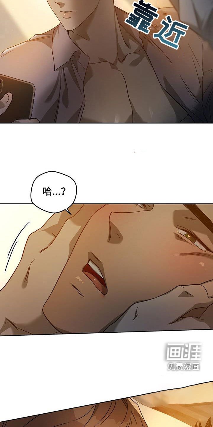 第110章：【第三季】太可爱了