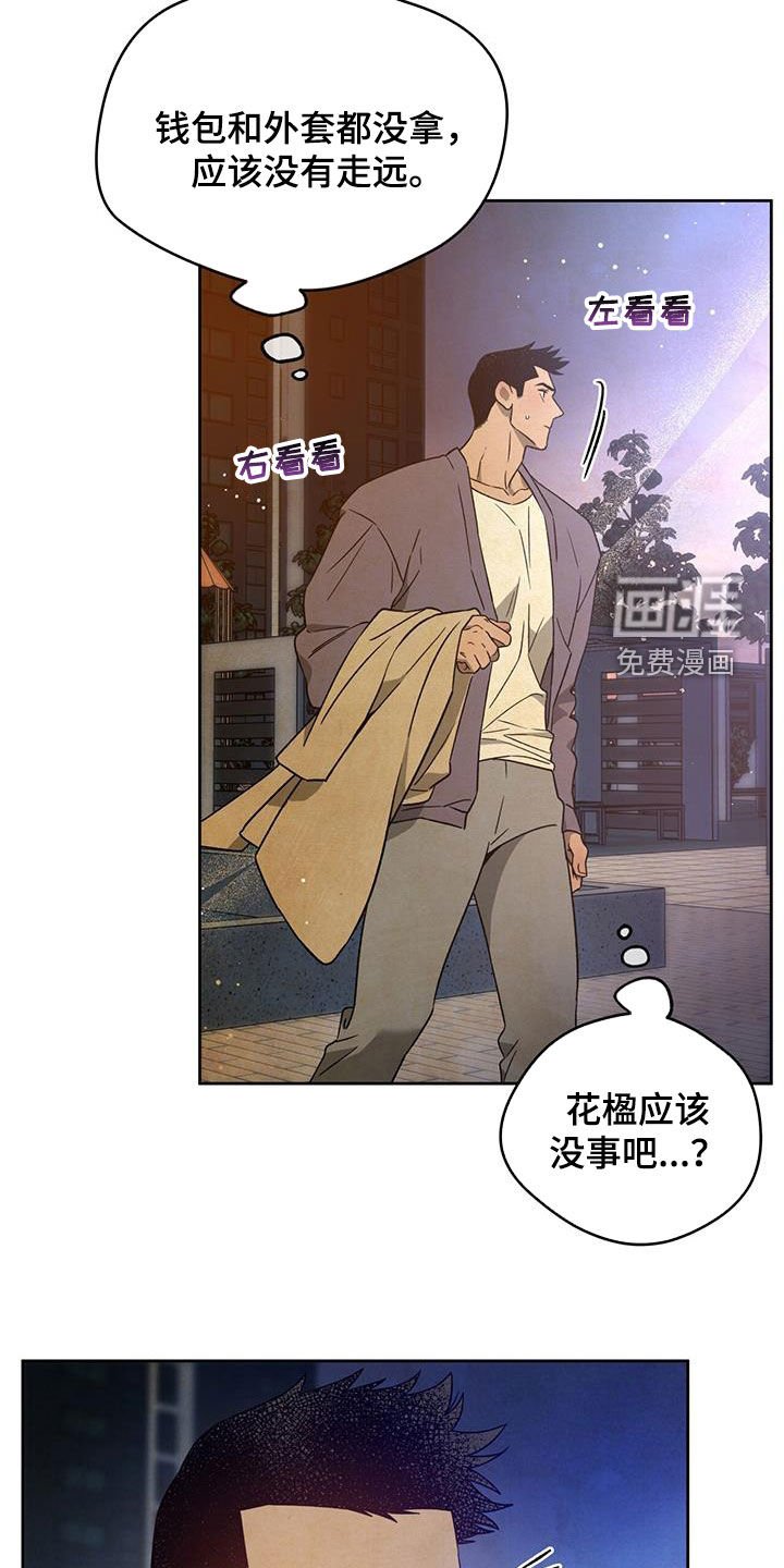第113章：【第三季】忙碌