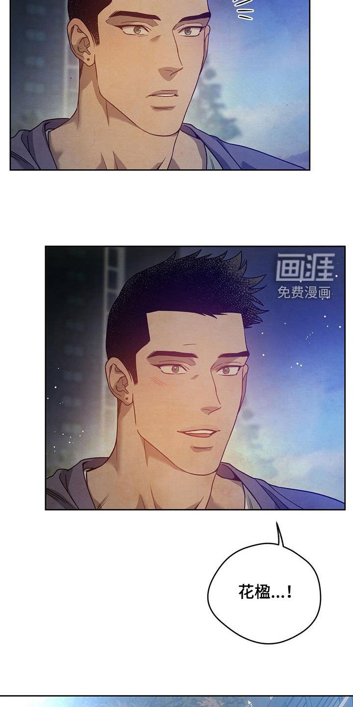 第113章：【第三季】忙碌