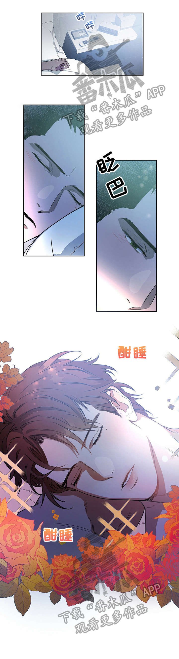 第12章：喜欢
