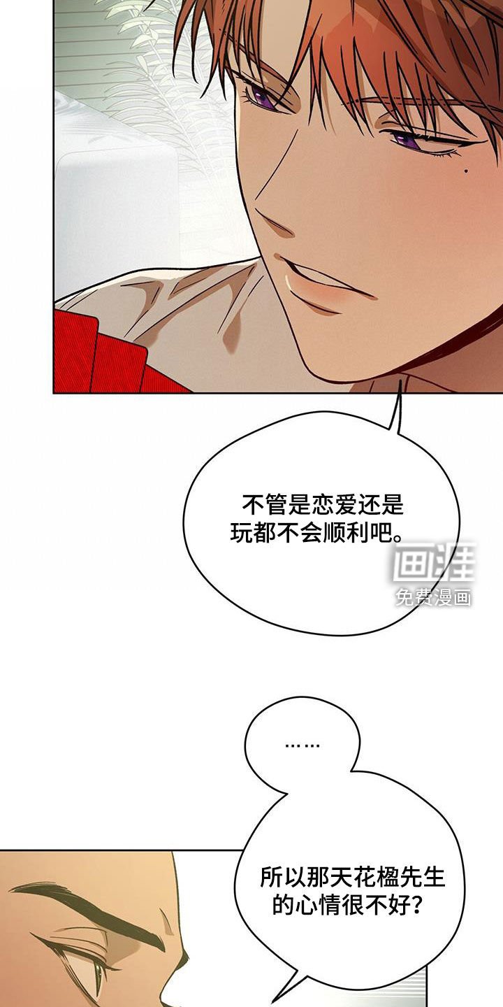 第146章：【第三季】花牌