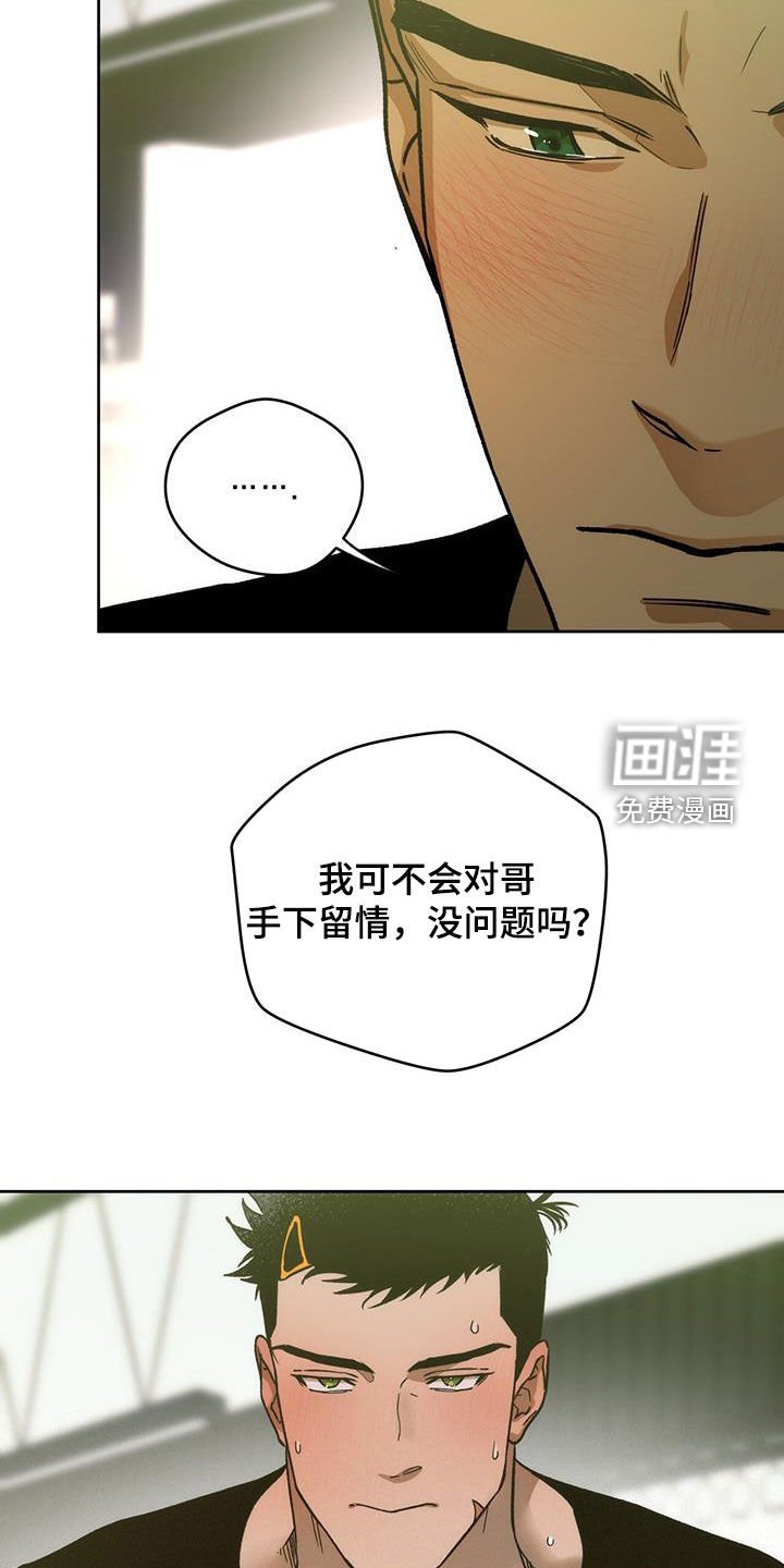 第146章：【第三季】花牌