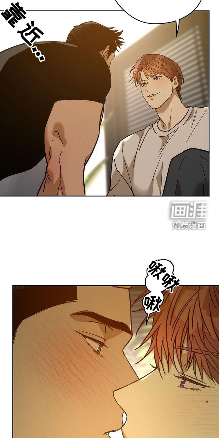 第146章：【第三季】花牌