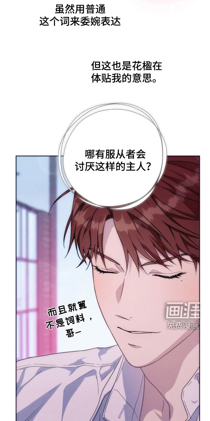 第148章：【第四季】哪会讨厌