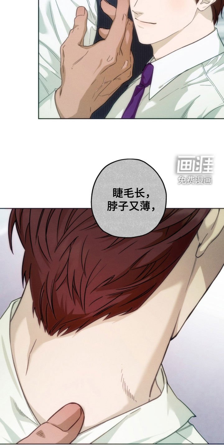 第150章：【第四季】好像也不错