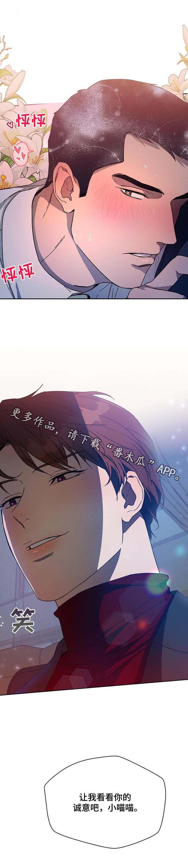 第53章：骰子
