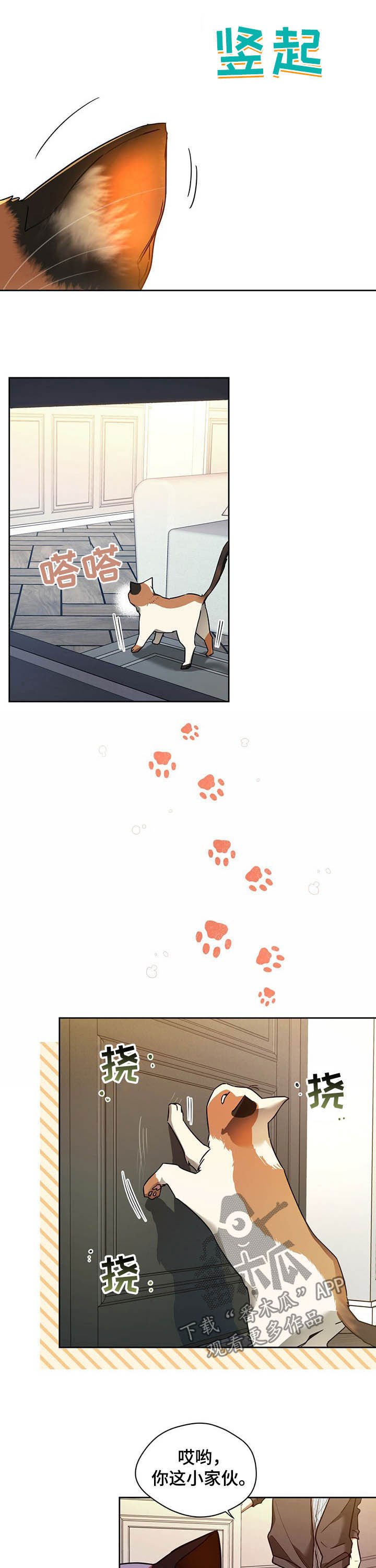 第63章：【第二季】答应