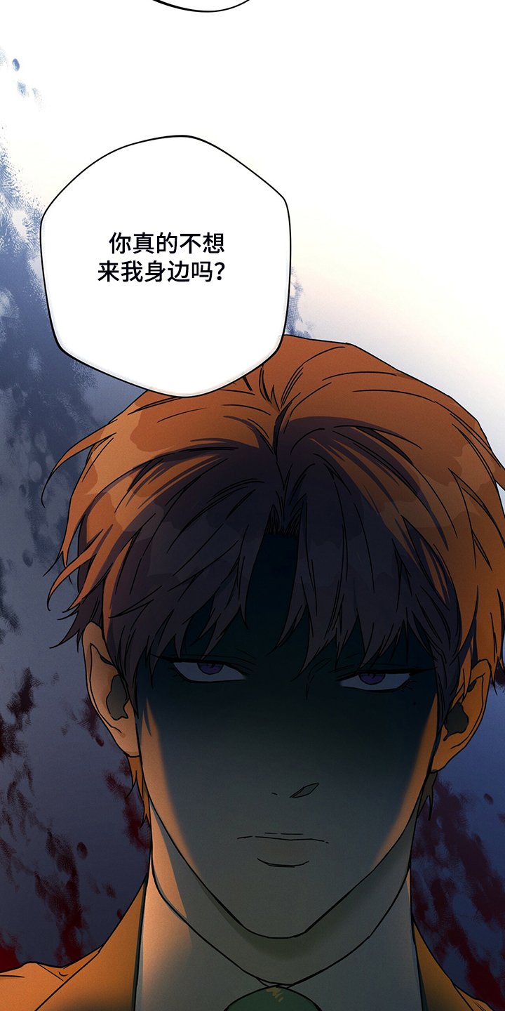 第85章：【第二季】确认看看