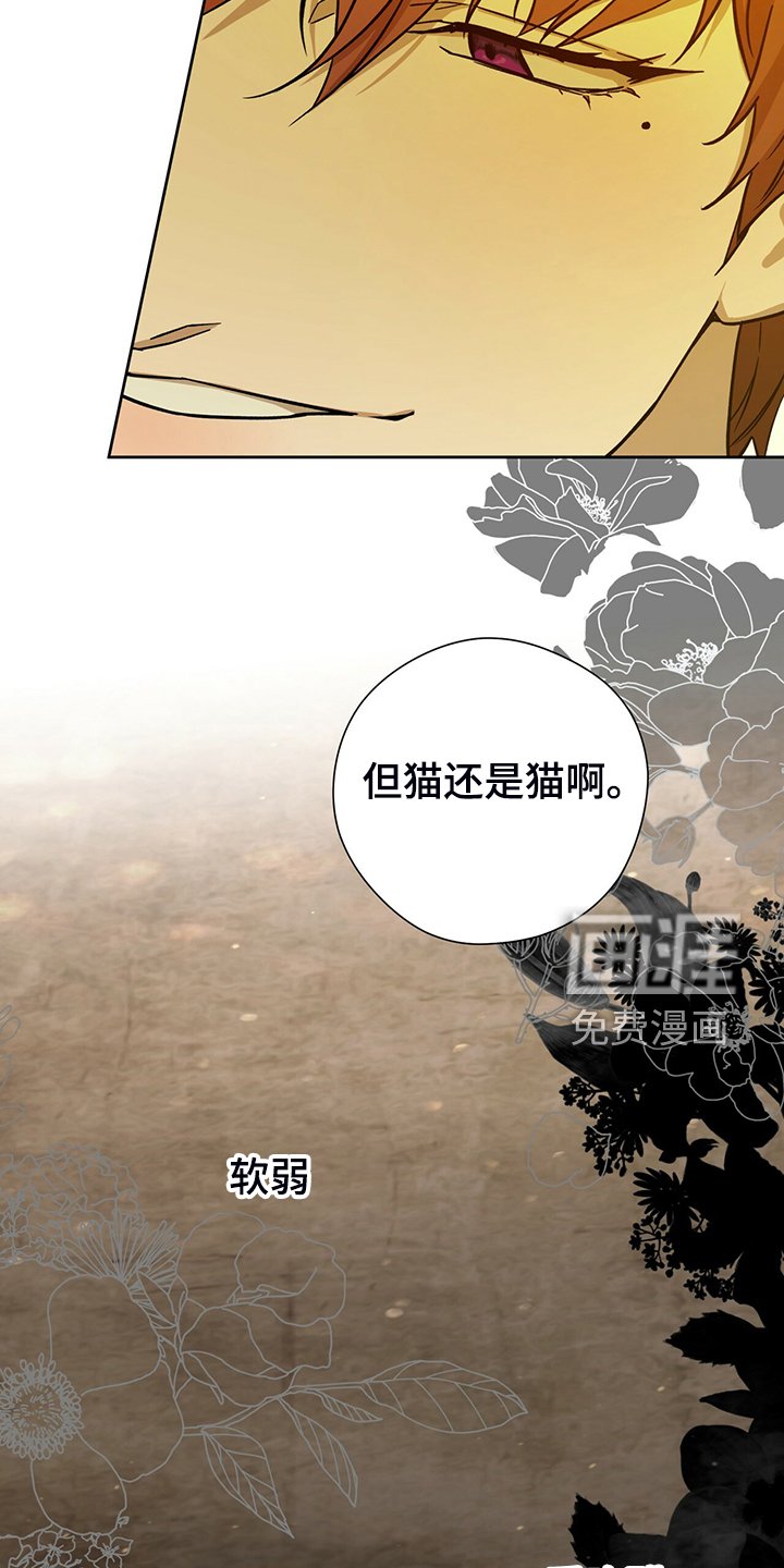 第91章：【第二季】轮到你了