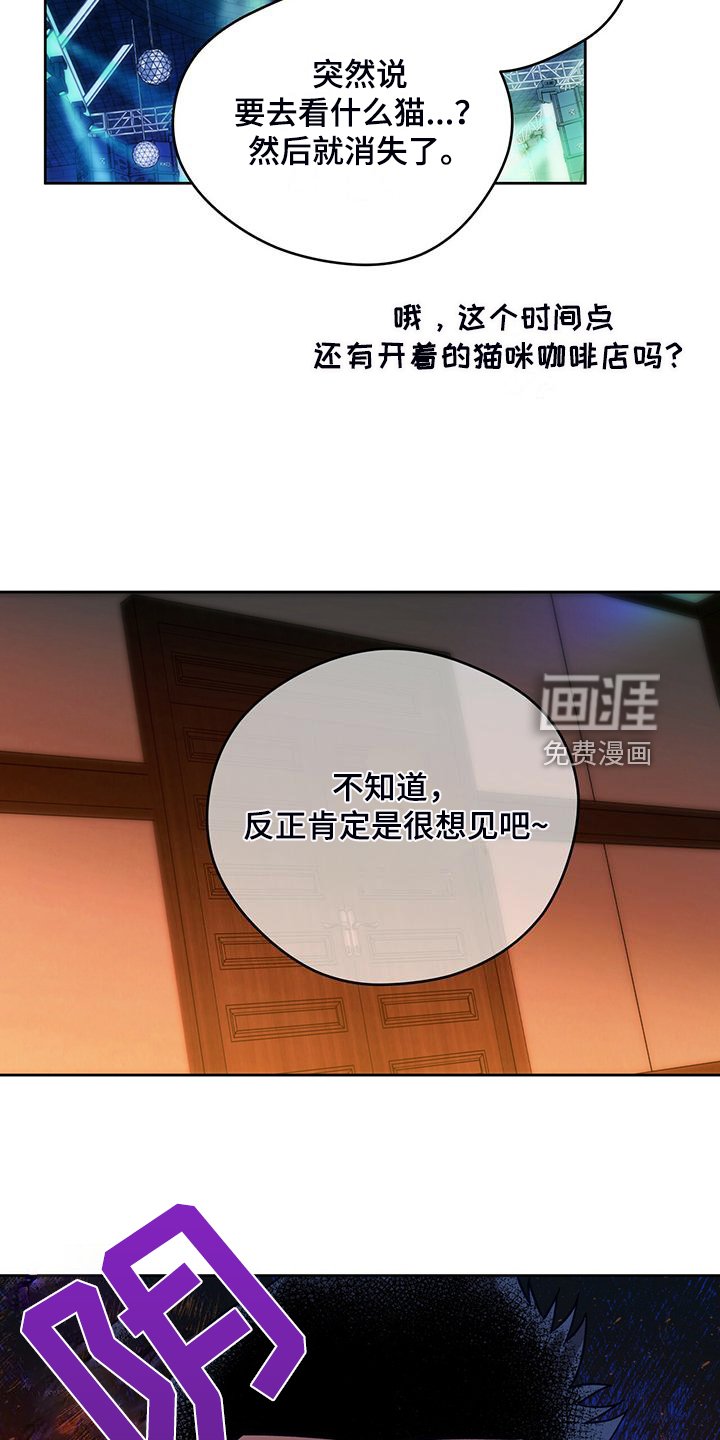 第96章：【第二季】看猫
