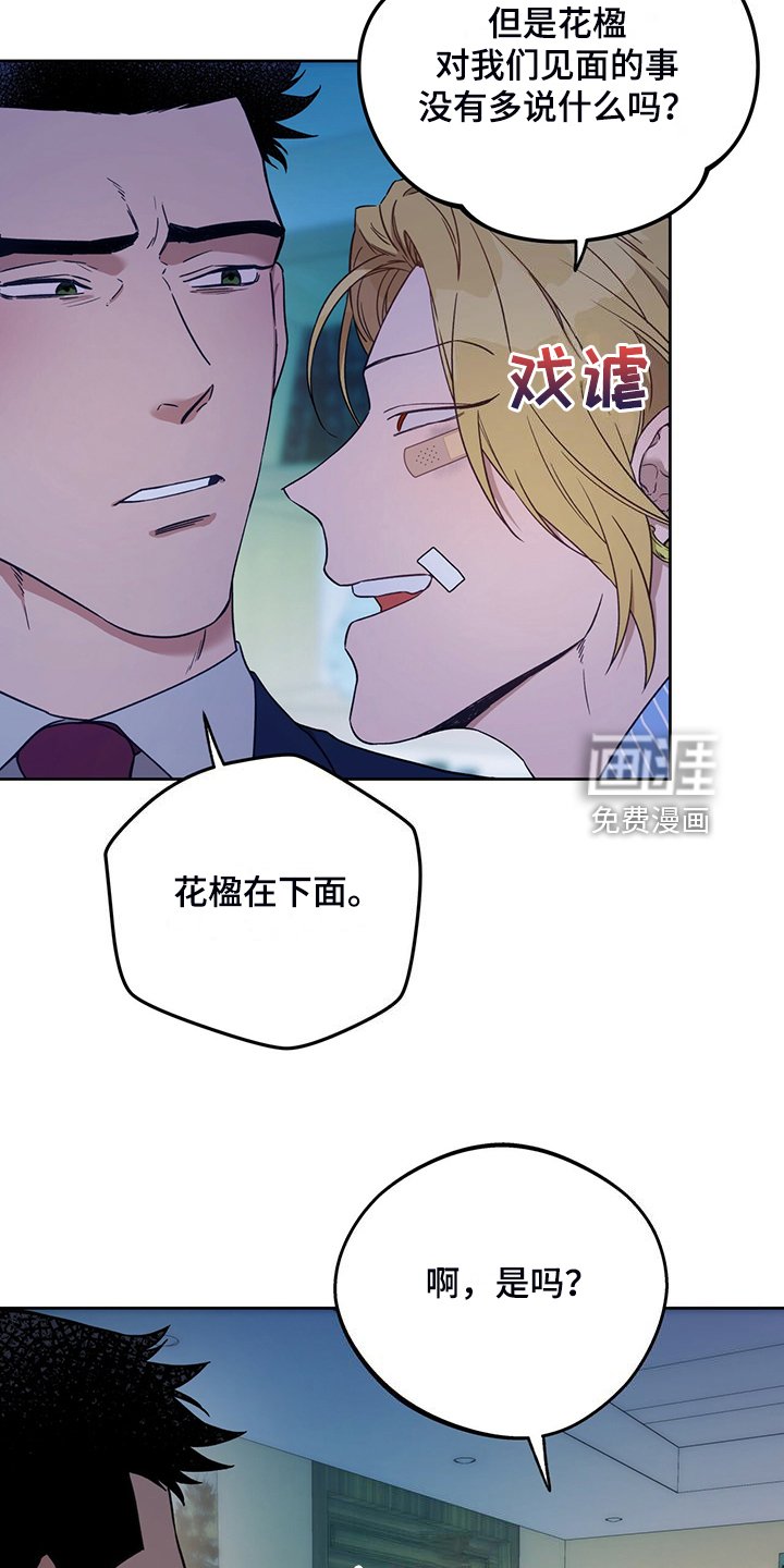 第96章：【第二季】看猫