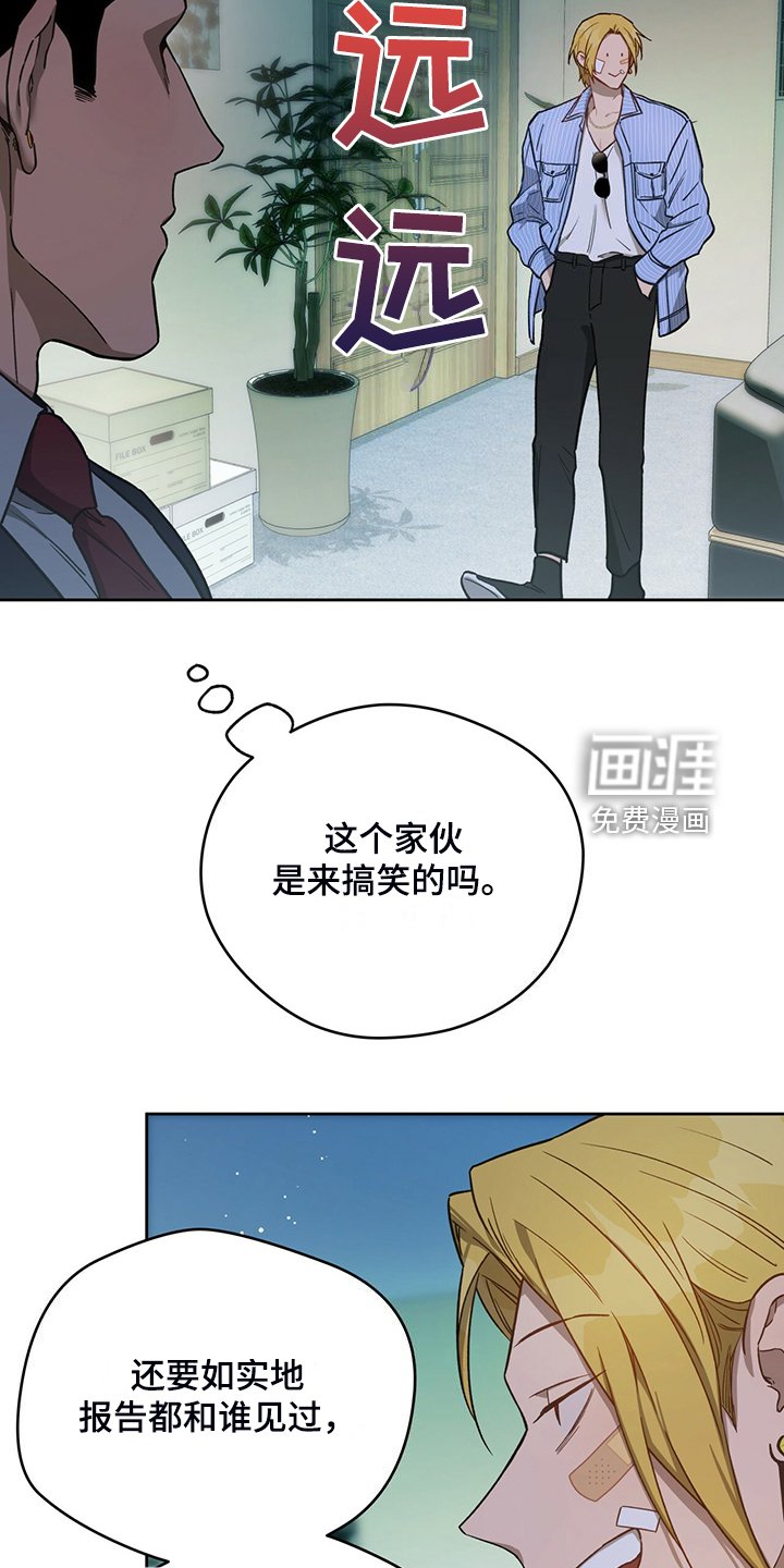 第96章：【第二季】看猫