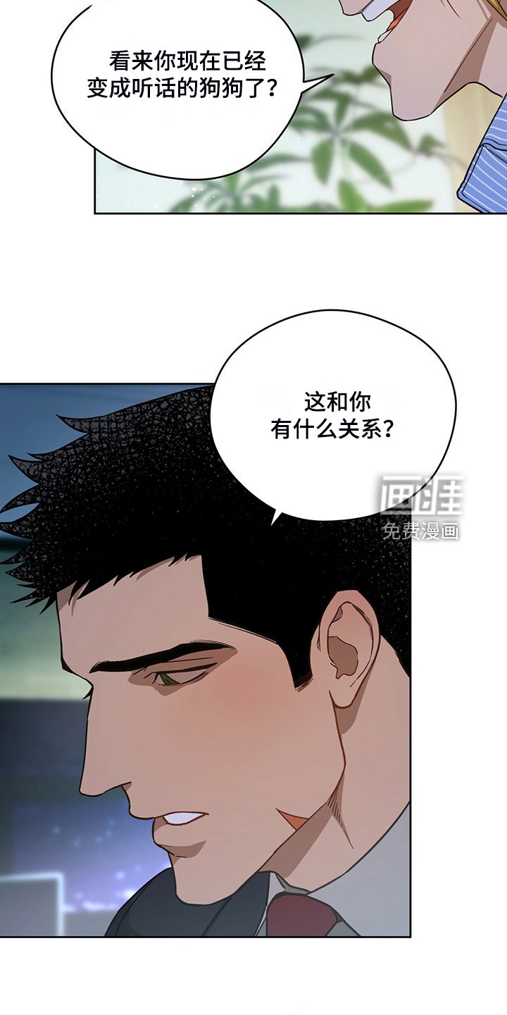 第96章：【第二季】看猫