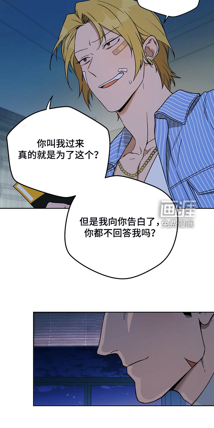 第96章：【第二季】看猫