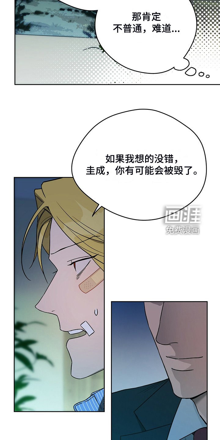 第96章：【第二季】看猫