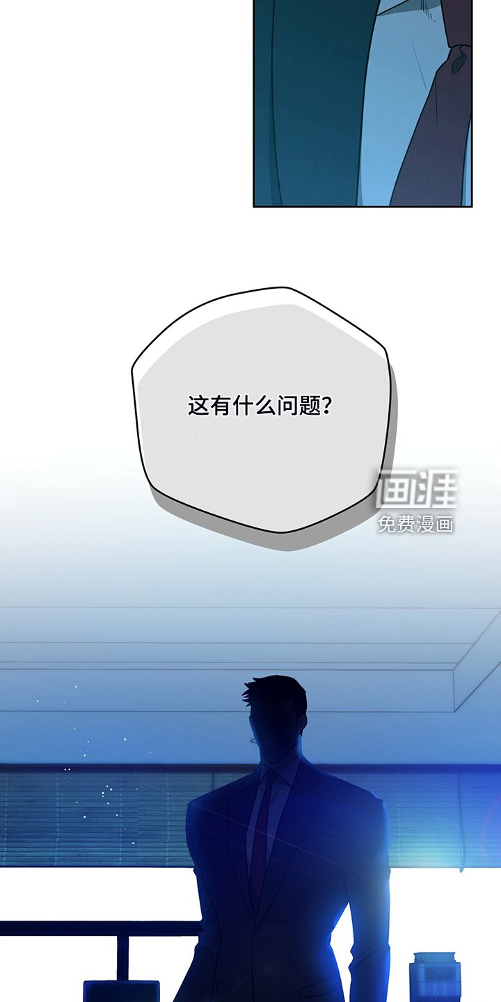 第96章：【第二季】看猫