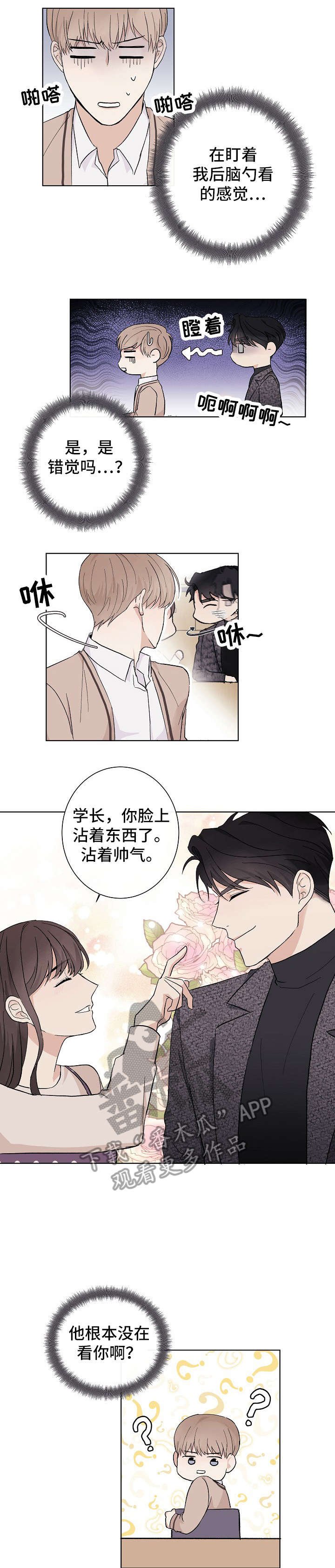 第2章：陪衬