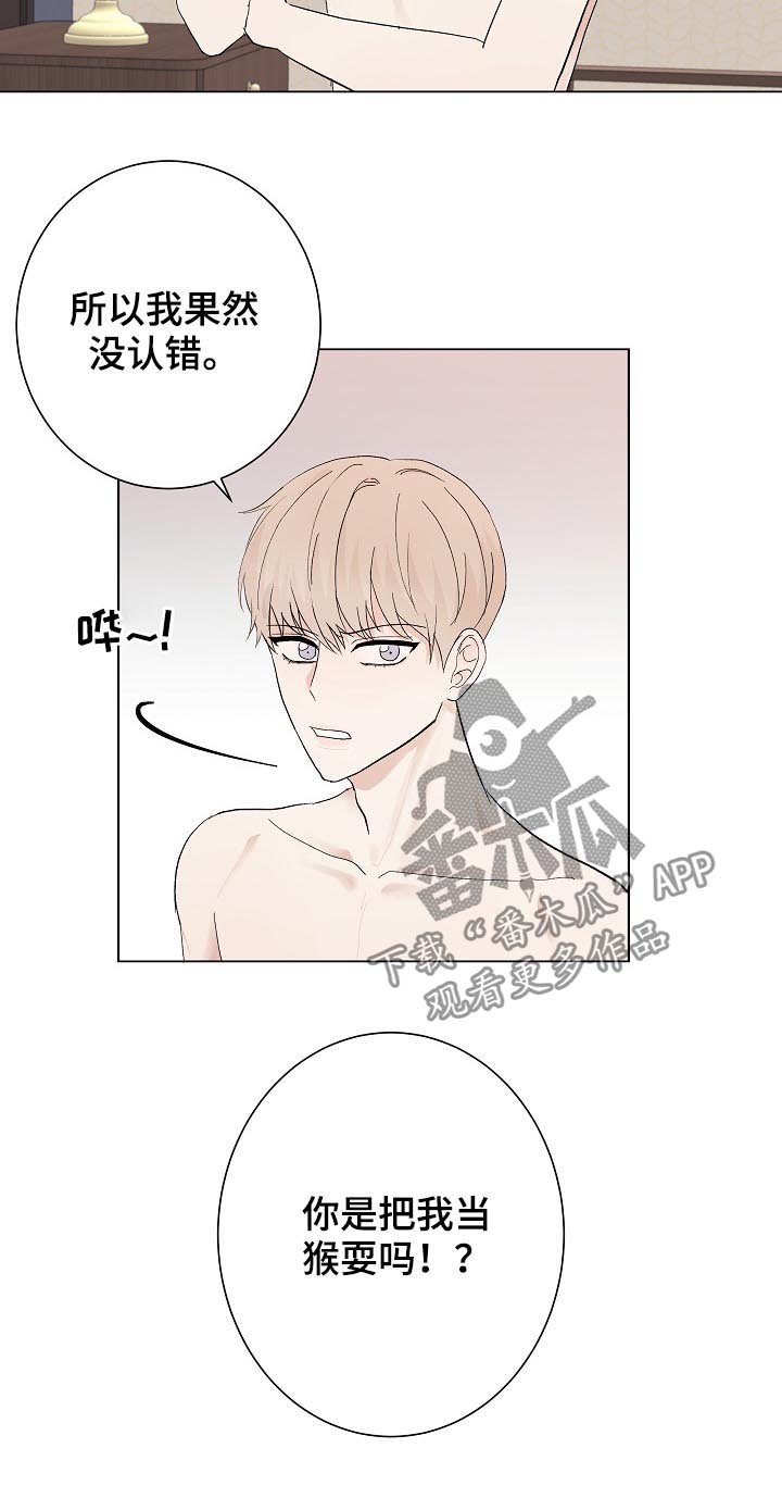 第36章：解释