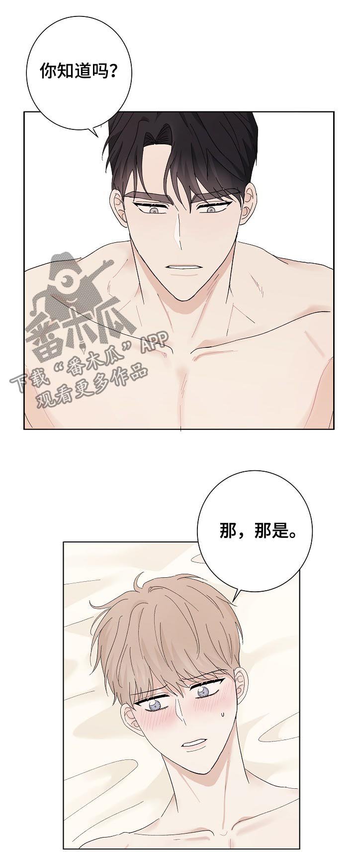 第36章：解释