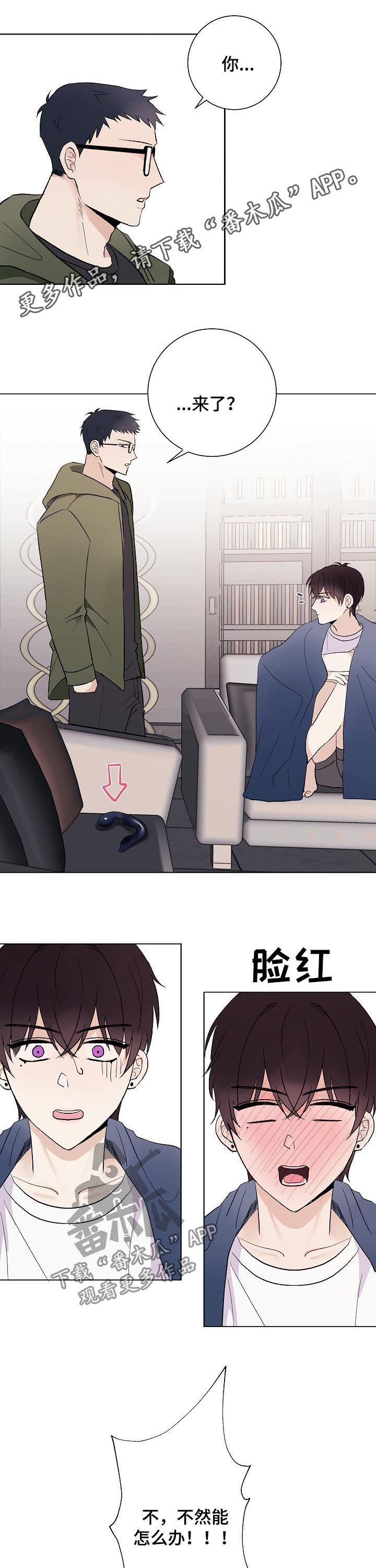 第39章：初见