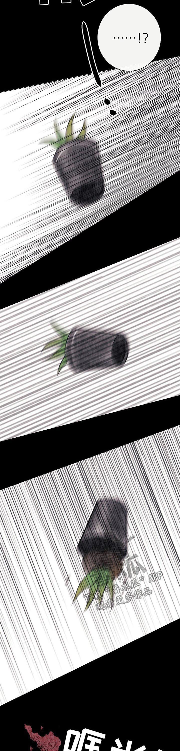 第40章：正式奴隶