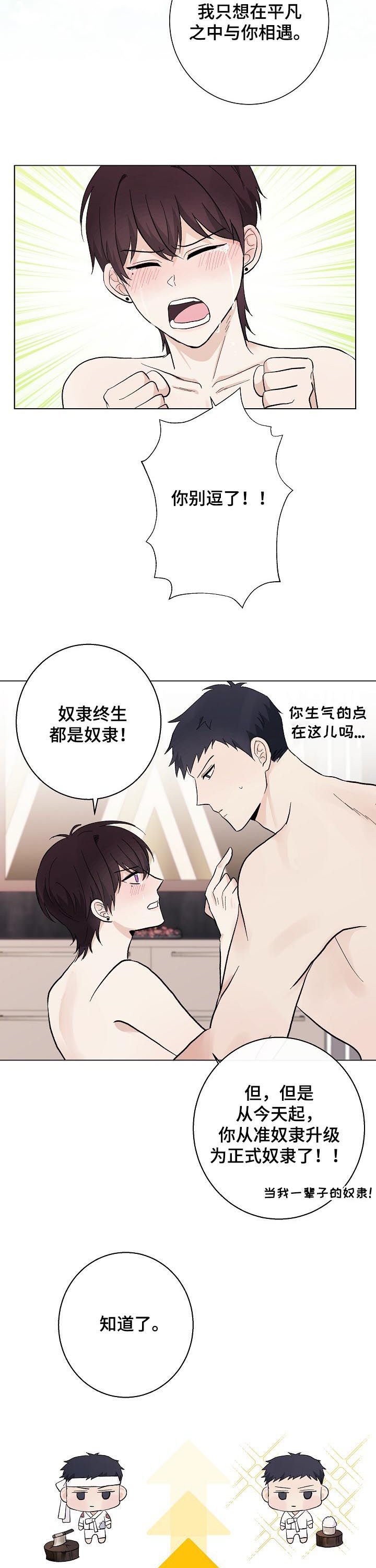 第40章：正式奴隶
