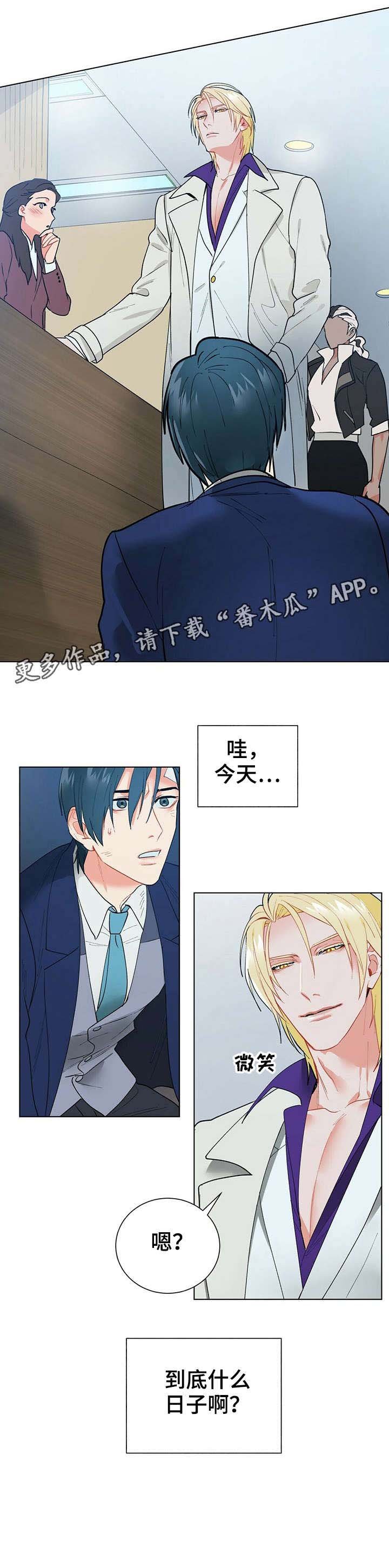 第11章：理想型