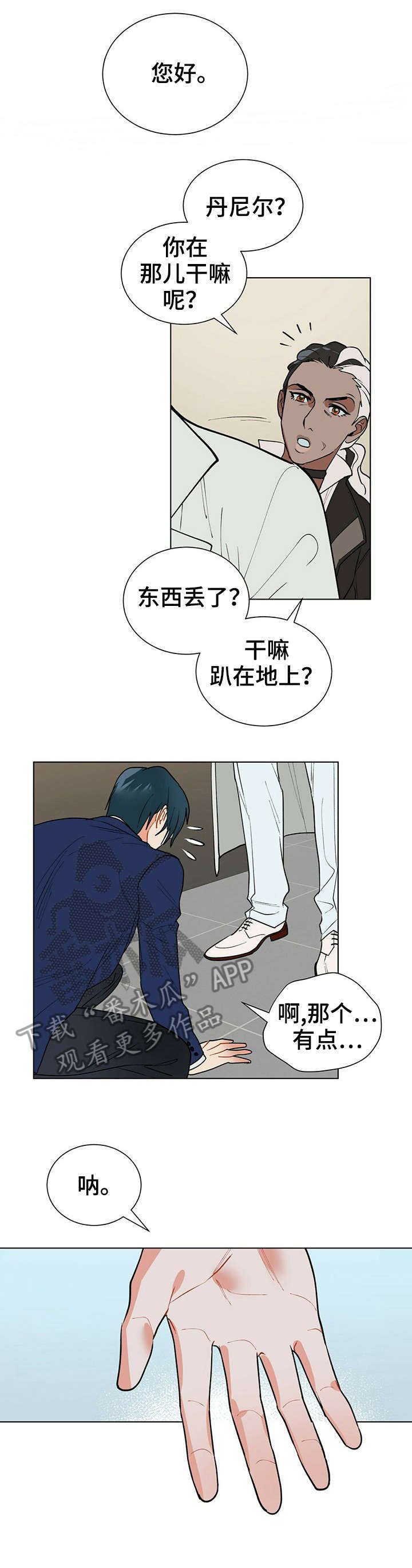 第11章：理想型