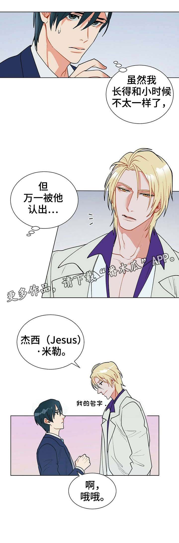 第11章：理想型