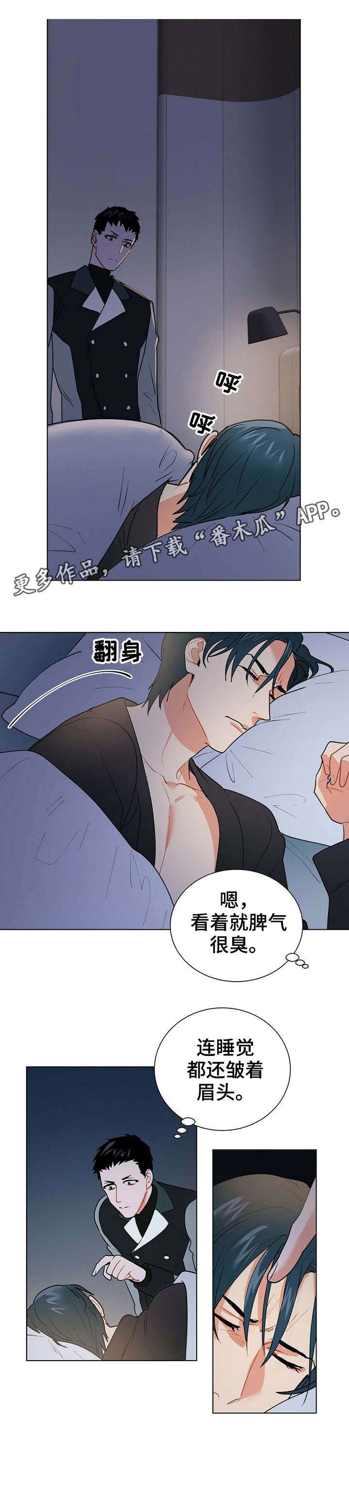第15章：计划