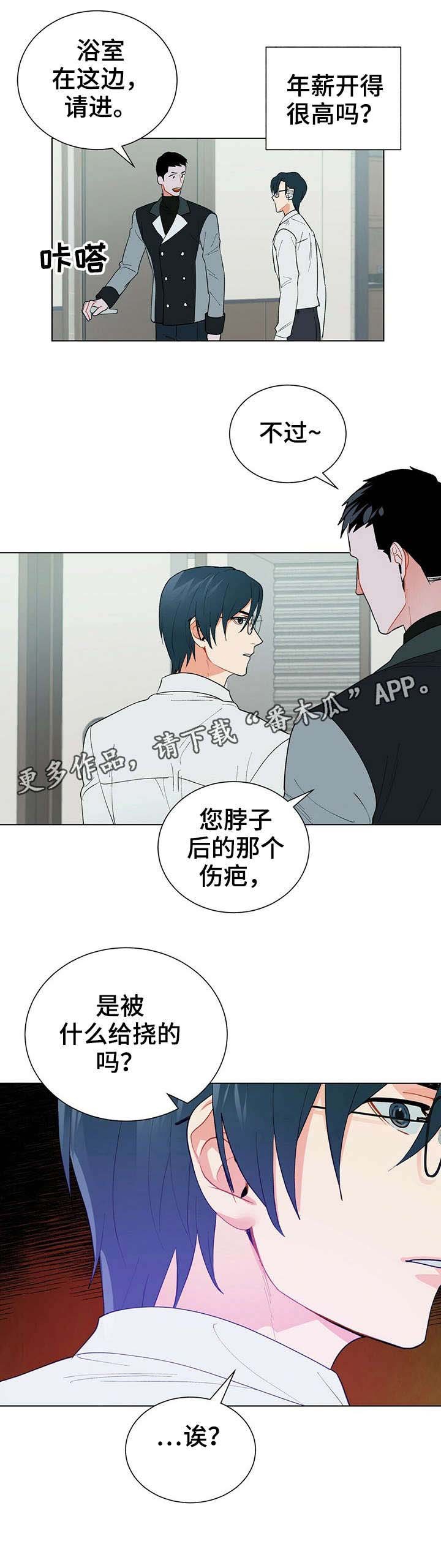 第27章：伤疤
