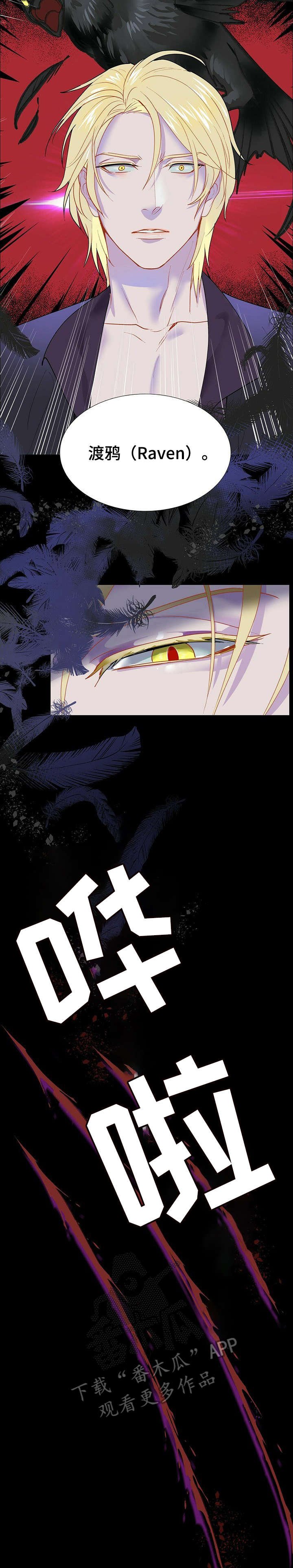 第3章：工作