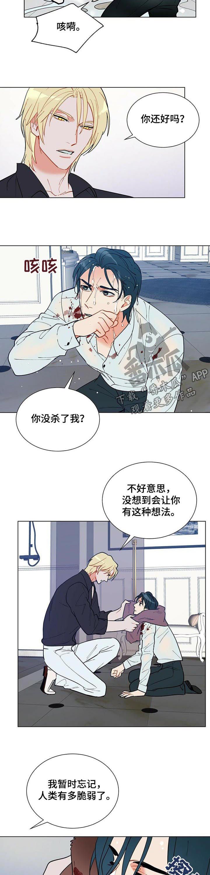 第51章：赶紧许愿