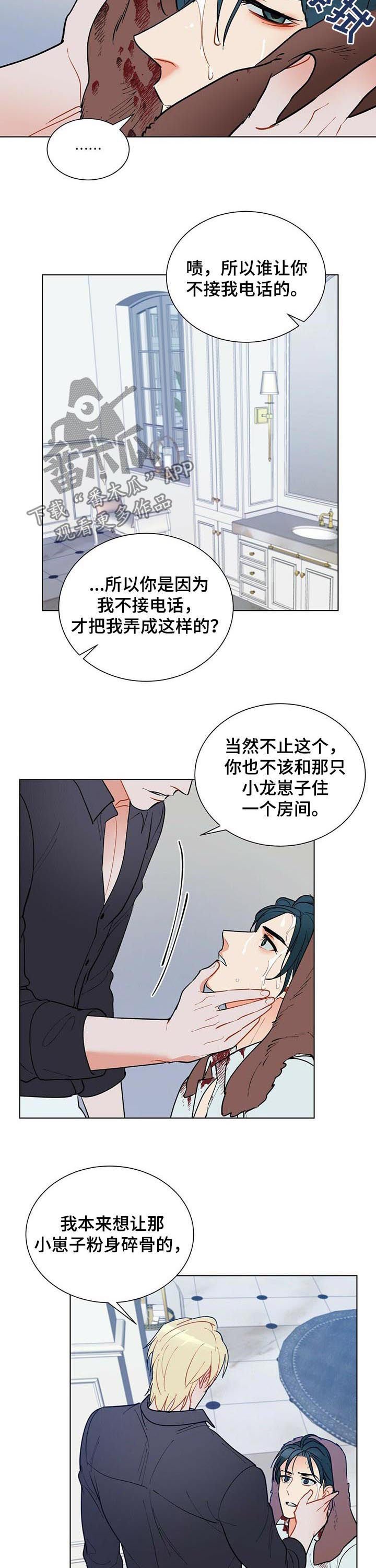 第51章：赶紧许愿