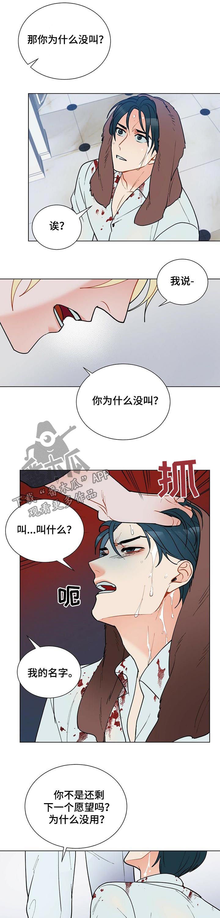 第51章：赶紧许愿